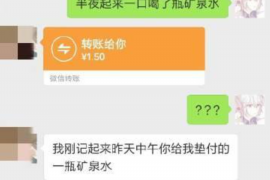 柏乡如何避免债务纠纷？专业追讨公司教您应对之策