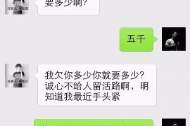 柏乡专业催债公司的市场需求和前景分析